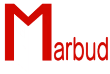 logo 2-min